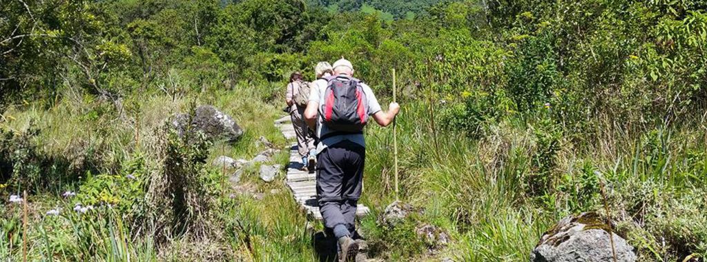 Hiking Mount Sabinyo is one of the activities to do while at Mount Gahinga Rest Camp