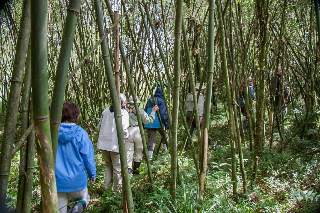 Nature walk and hiking