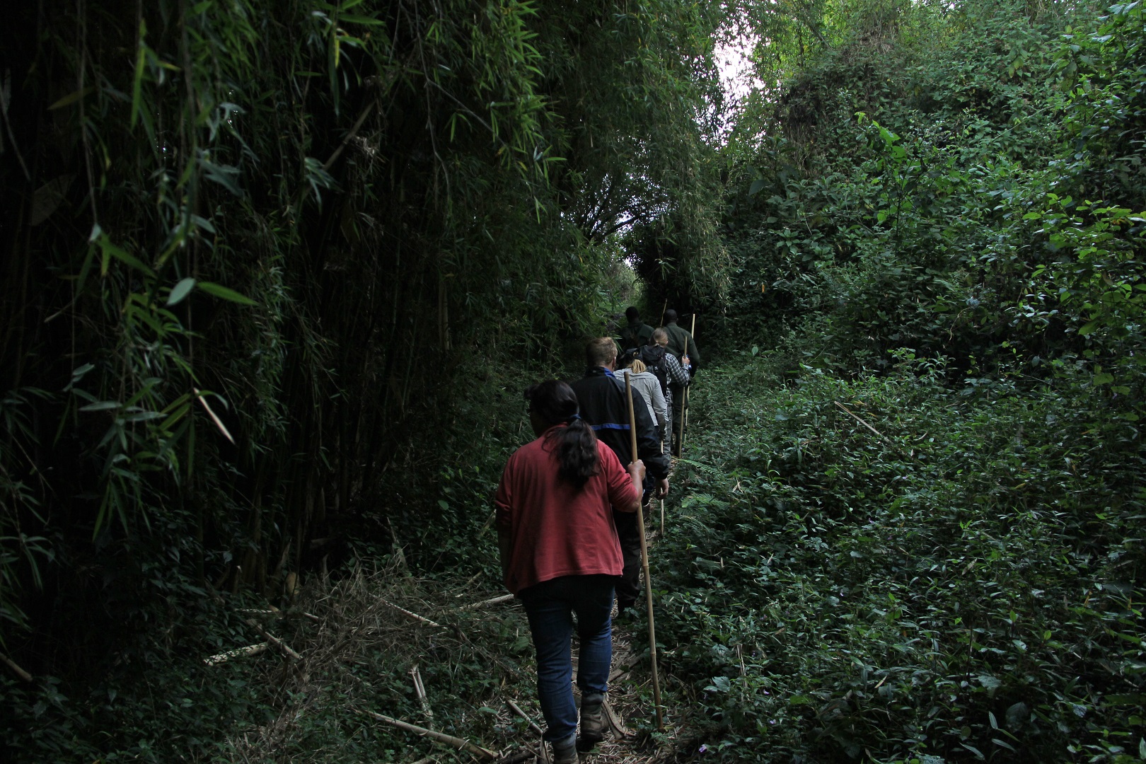 Hiking Mount Muhabura