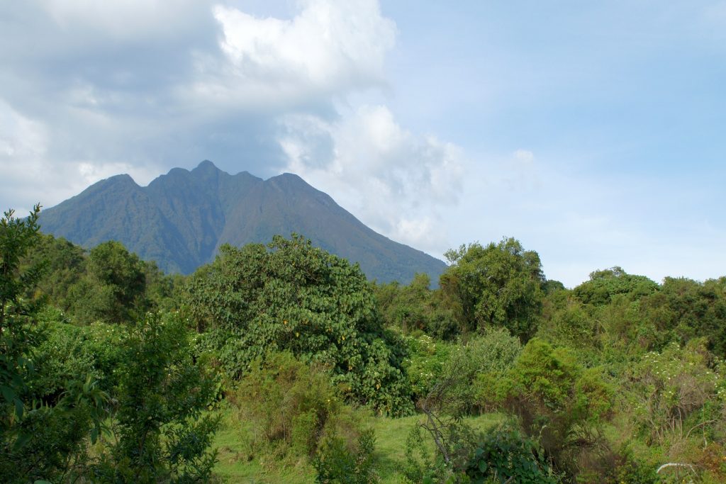 A view of Mount Sabinyo and Mgahinga vegetation