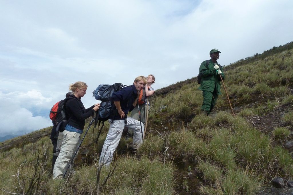 Nature walk and mountain hiking on Gorillas and Volcano Hike Safari