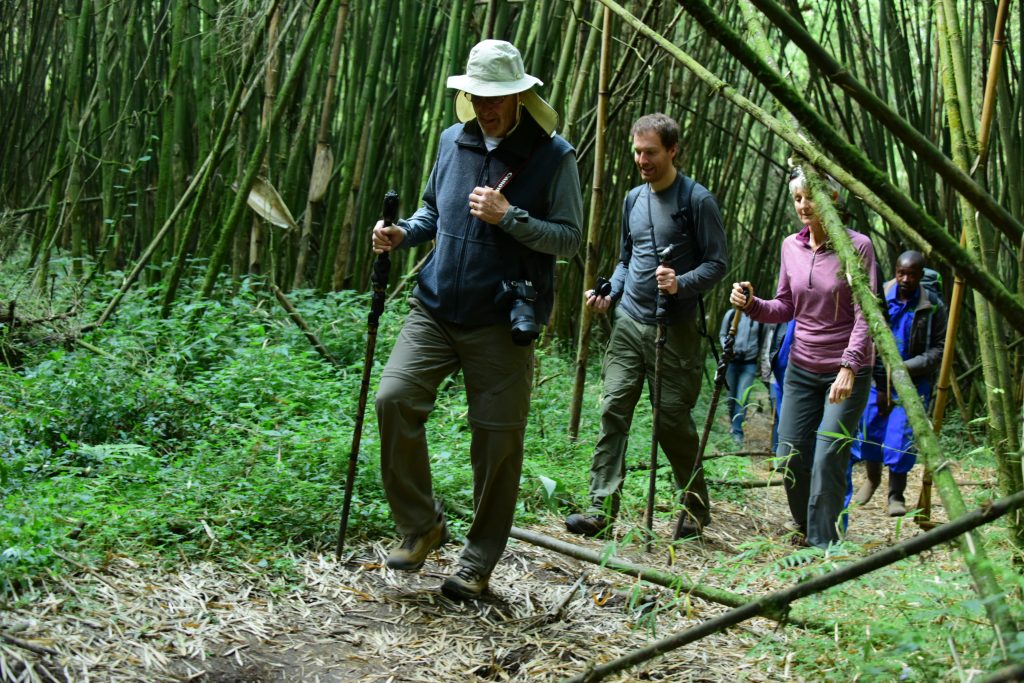 Nature walk and trekking