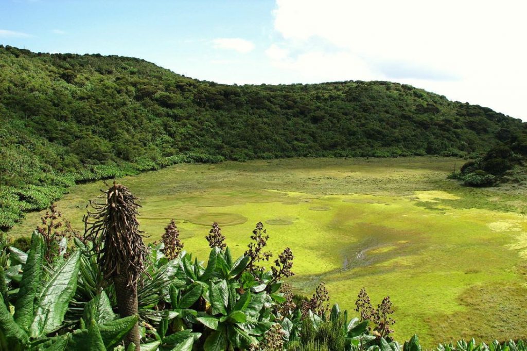 A beautiful caldera at the top of Mount Gahinga