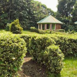 Amajambere Iwacu Community Camp